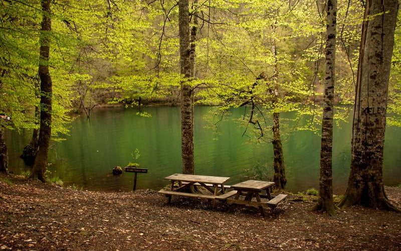 Bolu Yedigöller Milli Parkı