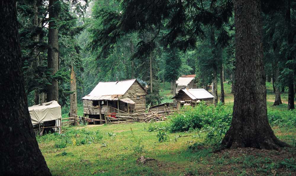 Sinekli Yaylası