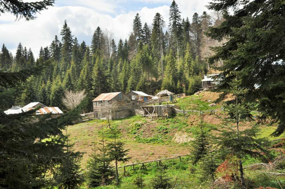 Sinekli Yaylası