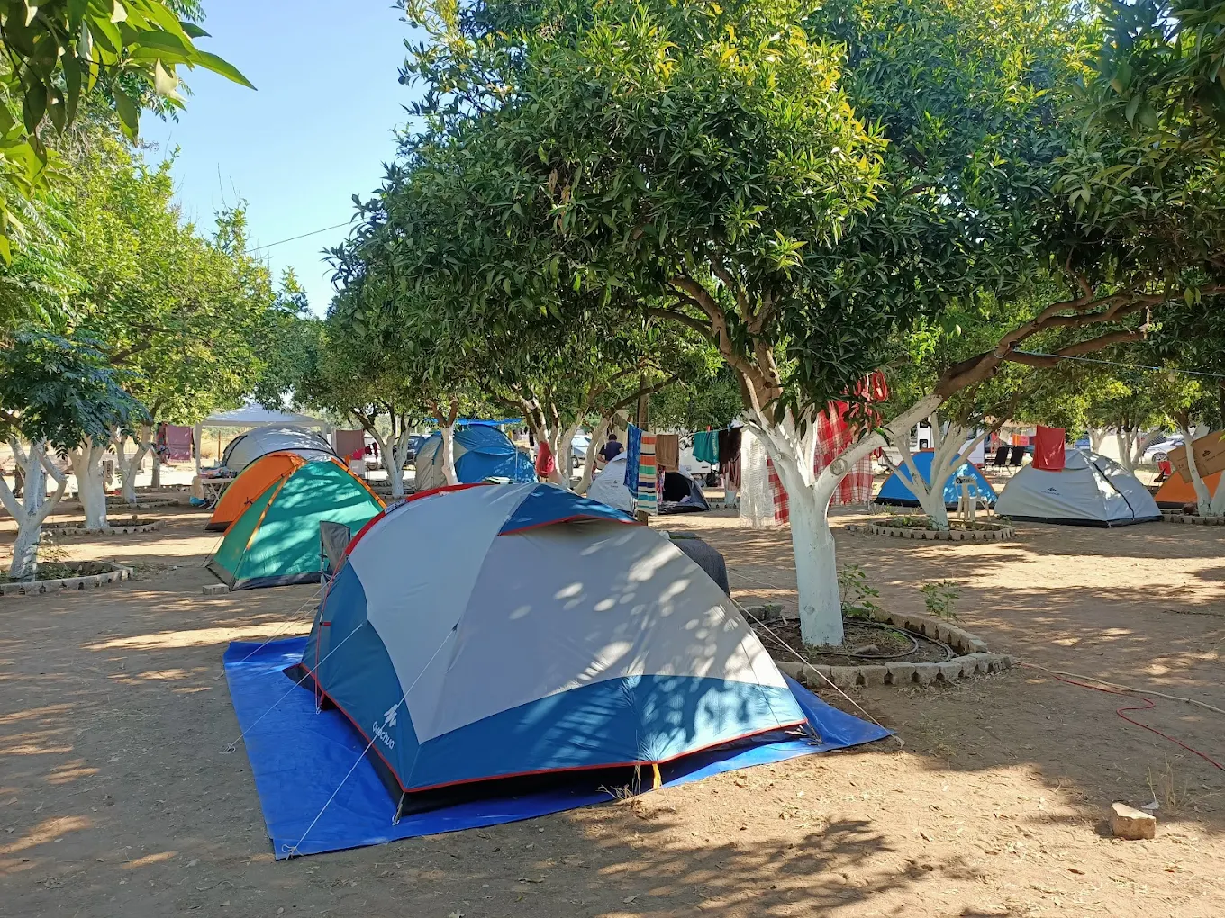 Minta Camping