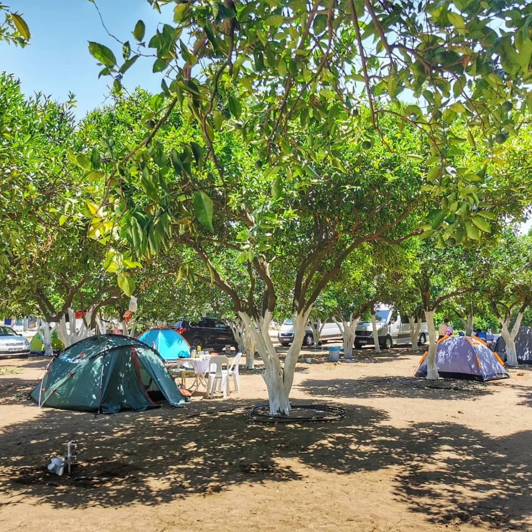 Minta Camping
